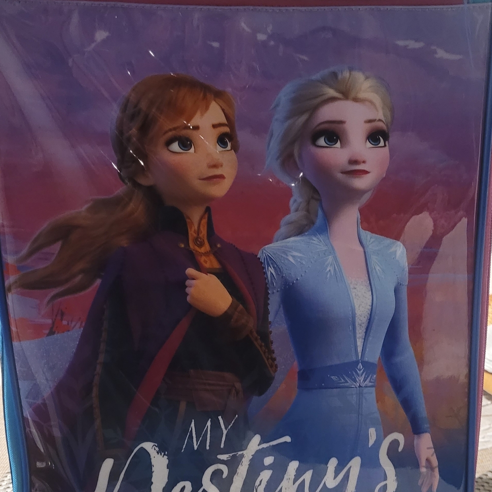 American Tourister Frozen Luggage